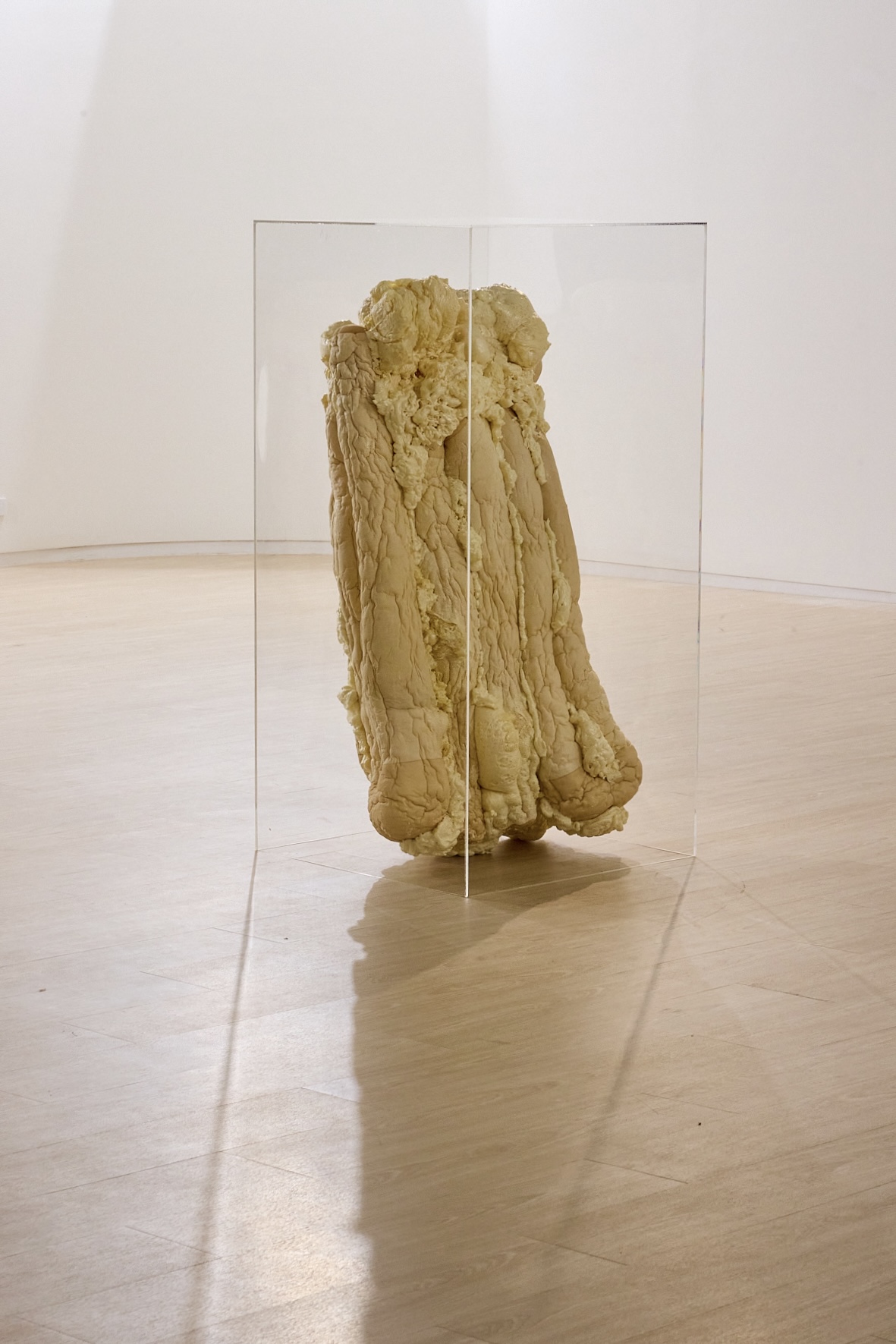 We are living in a room installation by oneg - mixed media exploring body exterior and interior duality